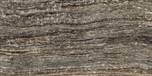  EPOS GREY 60X120 RET (610010002167)