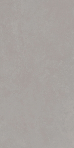  RINASCENTE GREY 60X120 (610010002649)