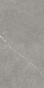  FORTE DEI MARMI ELEGANT GREY RETT 80X160 (610010002710)