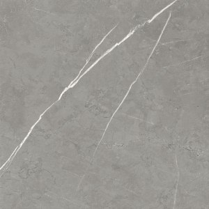  FORTE DEI MARMI ELEGANT GREY 60X60 LASTRA 20MM (610010002724)