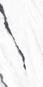  FDFORTE DEI MARMI PANDA WHITE RETT 60X120 CER (610015000656)