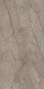  FORTE DEI MARMI MYSTIC GREY RETT 60X120 CER (610015000658)