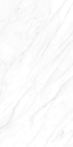  ������������ Carrara Matt grains soft-polished mould (BHW-0022) 60x120 NSK