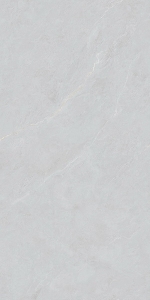  ������������ Cateye Light Grey grains soft-polished mould (BHW-0023) 60x120 NSK