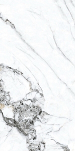  ������������ Bianco Gold full body polished (gold) (BHW-0035) 60x120 NSK