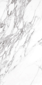  ������������ Bianco Soft full body soft polished (gold) (BHW-0037) 60x120 NSK