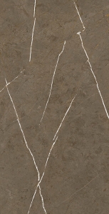  ������������ Stone Brown 3D ink-soft glaze (BHM-5009) 60x120