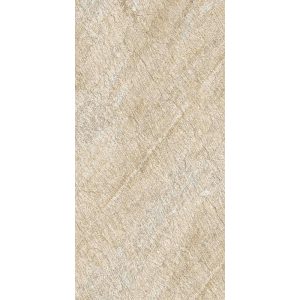 ������������ Basconi Home Sandstone Sand (BHM-5005) 60x120