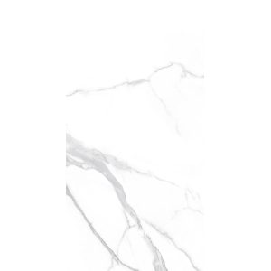  ������������ Ceramica Bella Marmo bianco Mat 60x120