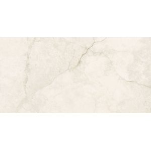  ������������ Geotiles Eterna Bone 60x120