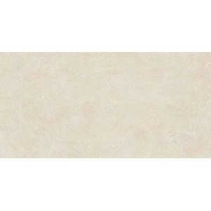  ������������ Geotiles Vincen Bone 60x120