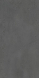  ������������ ENNFACE Artcolor Silver (ENMON8024DM60120) DIGI MATT 60x120