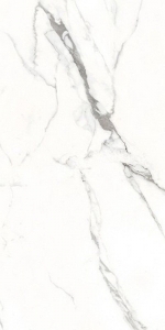  ������������ MARBLE Polaris (ENMAR1002GL60120) GLOSSY 60x120