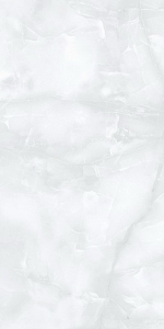  ������������ ONIX Dolche Gris (ENONX1009GL60120) GLOSSY 60x120