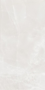  ������������ ONIX Florence (ENONX8027MT60120) MATT 60x120