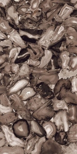  ������������ ACCENT Volcanic Agate (ENACN1013HG60120) HIGH GLOSSY 60x120