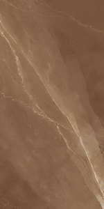  ������������ STONE Armani Bronze (ENSTN1034HG60120) HIGH GLOSSY 60x120