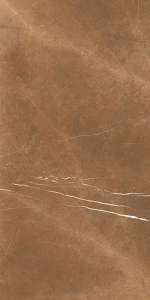  ������������ STONE Pulpis Choco (ENSTN1035MT60120) MATT 60x120