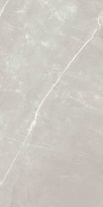  ������������ STONE Alaska Grey (ENSTN7004MT60120) MATT 60x120