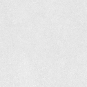  ������������ LOFT Cement Smoky (ENLFT5005SR116060) Structured R11 20mm 60x60