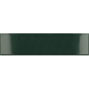  ������������ ������ Equipe Costa Nova Laurel Green 5x20