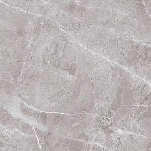  ������������ PALLAZO GRIS matt (ETSTN1213MT6060) 60x60