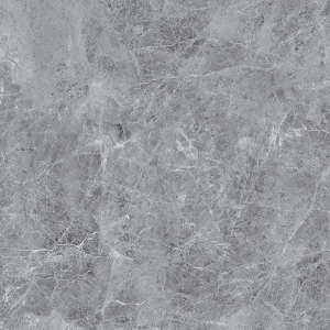  ������������ MADONA GREY glossy (ETSTN1225GL6060) 60x60