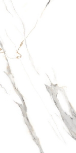  ������������ STATUARIO ROCK glossy (ETMAR1219GL60120) 60x120