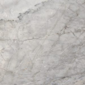  ������������ Eurotile Polar Grey Polished 60x60