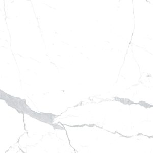  ������������ Eurotile Statuario Fond Polished 60x60