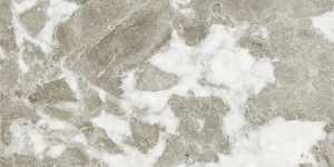  GT210VG ��������� ����� GlobalTile Action_GT ���. 30x60 _ 1/58,32