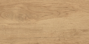  GT220VG ������������ GlobalTile Florida_GT ���. 30x60 1/58,32