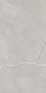  ������������ LARICE GREY 60x120