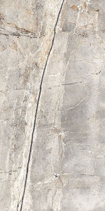  ������������ REGAL SATA BROWN 80x160