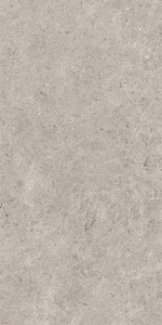  ������������ SEASHELL NATURAL R10 CARVING 60x120