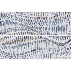  ������������ ������ Ibero Strata Decor Light (Set 2 Pzs 30x90) Rect. 60x90