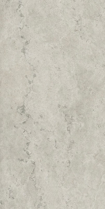  ���������� ������� ������� 60X120 METROPOLIS ABSOLUT SILVER 60X120 (610010002628) � �������