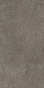  �������� ���� 60X120 DISCOVER FUME 60X120 (610010002730)