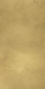  ��������� ����� ���� 80X160 ���� CONTINUUM BRASS GOLD 80X160 LAP (610015000645)