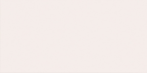  ���� 40X80 ���� WHITE 40X80 MATT (600010002159)