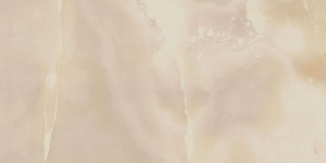  ���� ��� ����� 60X120 CHARME EVO ONYX 60X120 (610010001412)