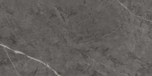  ���� ��� �������� 60X120 CHARME EVO ANTRACITE 60X120 (610010001414) � �������