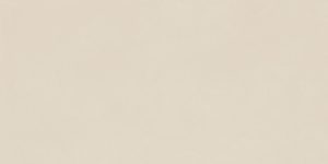  ������������ ����� ���� ���� 60X120 FORUM SLIM PURE 60X120 (610010004155)