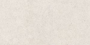  ������������ ����� ����� ����� 60X120 FORUM STONE POLAR 60X120 (610010004166)