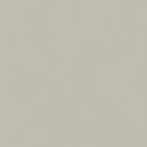  ������������ ����� ���� ������� 120x120 ��� FORUM SLIM SILVER 120x120 RET (610010004198)