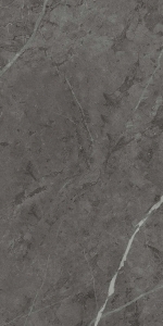  ���� ��� �������� 60X120 ���� CHARME EVO ANTRACITE 60X120 LUX (610015000406)