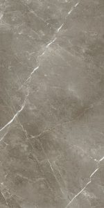  ������������ ��������� �������� ���� 60X120 ���� STELLARIS TUSCANIA GREY 60X120 LAP (610015000681)