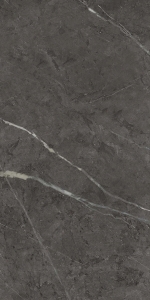  ���� ��� �������� 30X60 ��� CHARME EVO ANTRACITE 30X60 CER (610015000239)