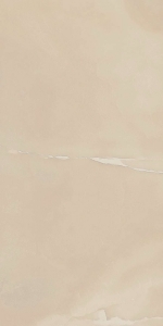  ���� ��� ����� 30X60 ��� CHARME EVO ONYX 30X60 CER (610015000237)