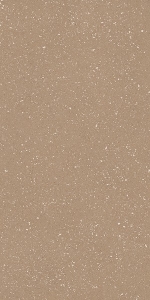  (TAU) ������������ SASSY TERRACOTA REC 60X120